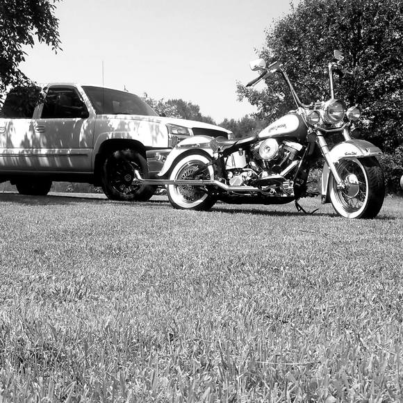 Meet your Posher, Taylor - Picture 1 of 1